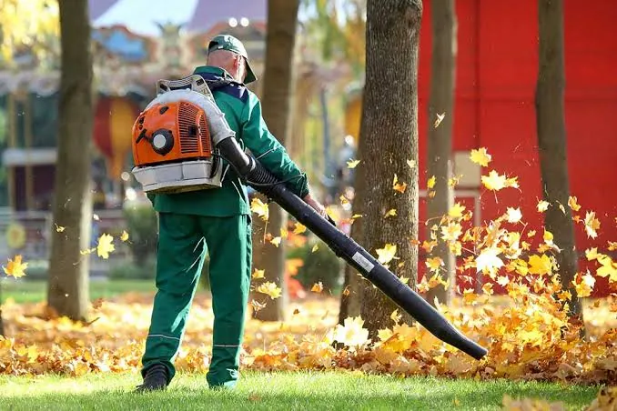 Landscaper using a leaf blower to clear fallen autumn leaves from a lawn